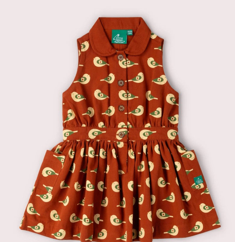 dresses